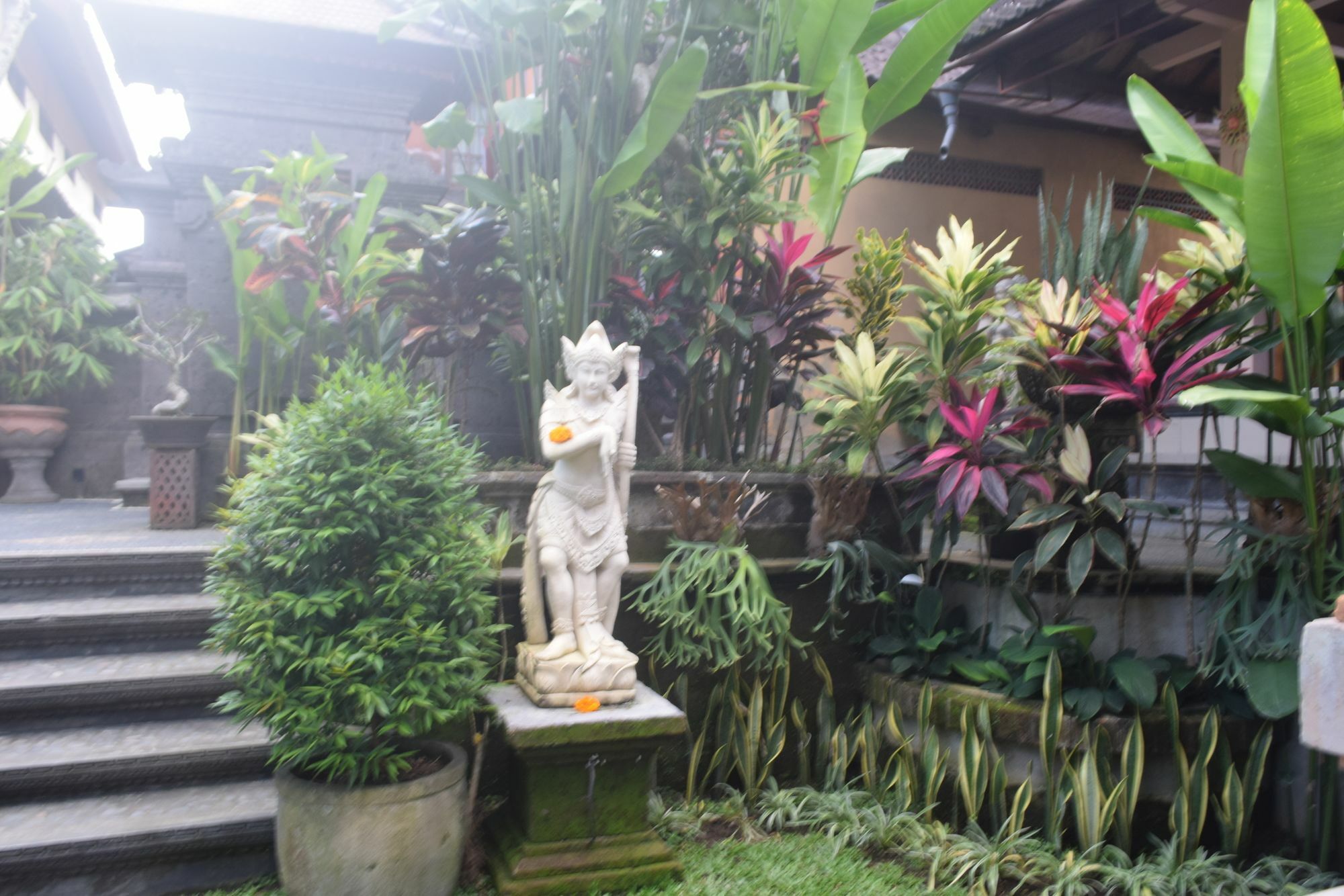 Aura Bisma Hotel Ubud Eksteriør billede
